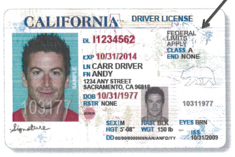 nh dmv non drivers license